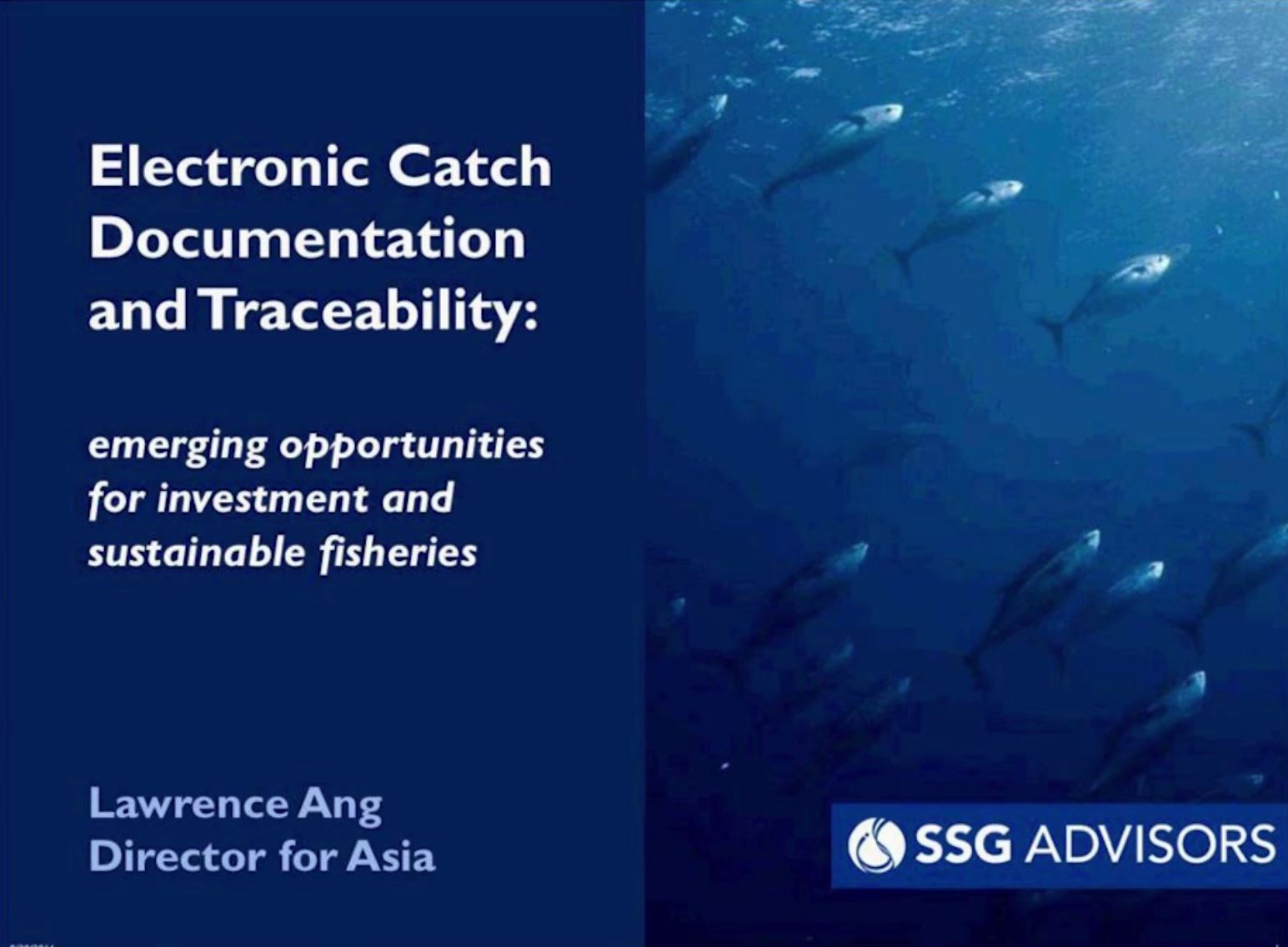 Webinar on Electronic Catch Documentation and Traceability