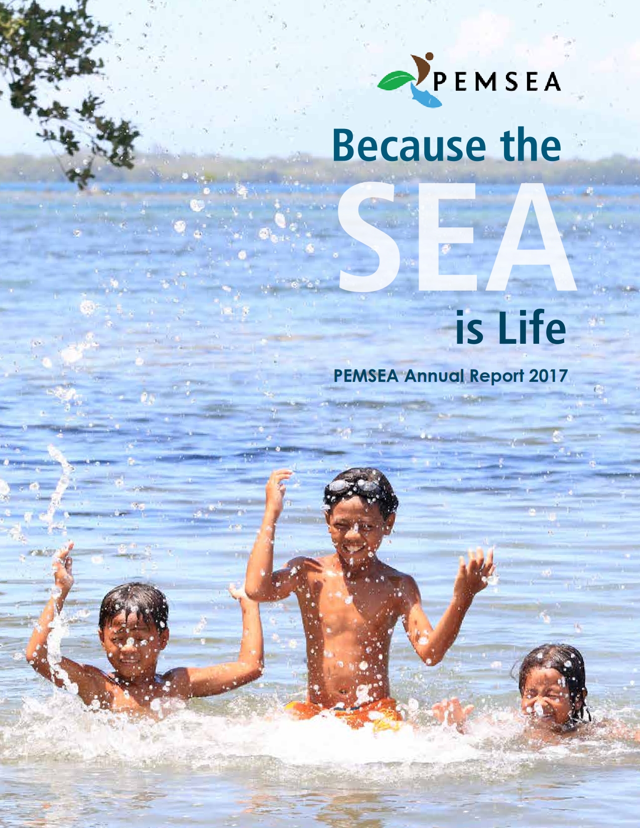 PEMSEA Annual Report 2017: Because the SEA is Life
