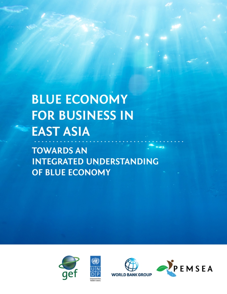 Blue Economy for Business in East Asia: Towards an Integrated Understanding of Blue Economy