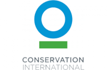 CI