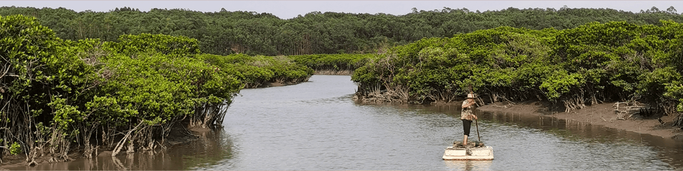 Integrated Coastal Management