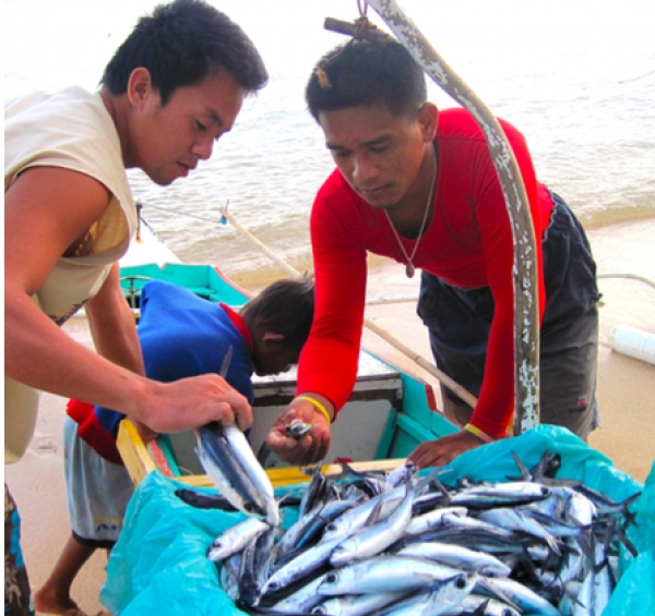 Sustainable Seafood Week, Manila, February 15 to 21