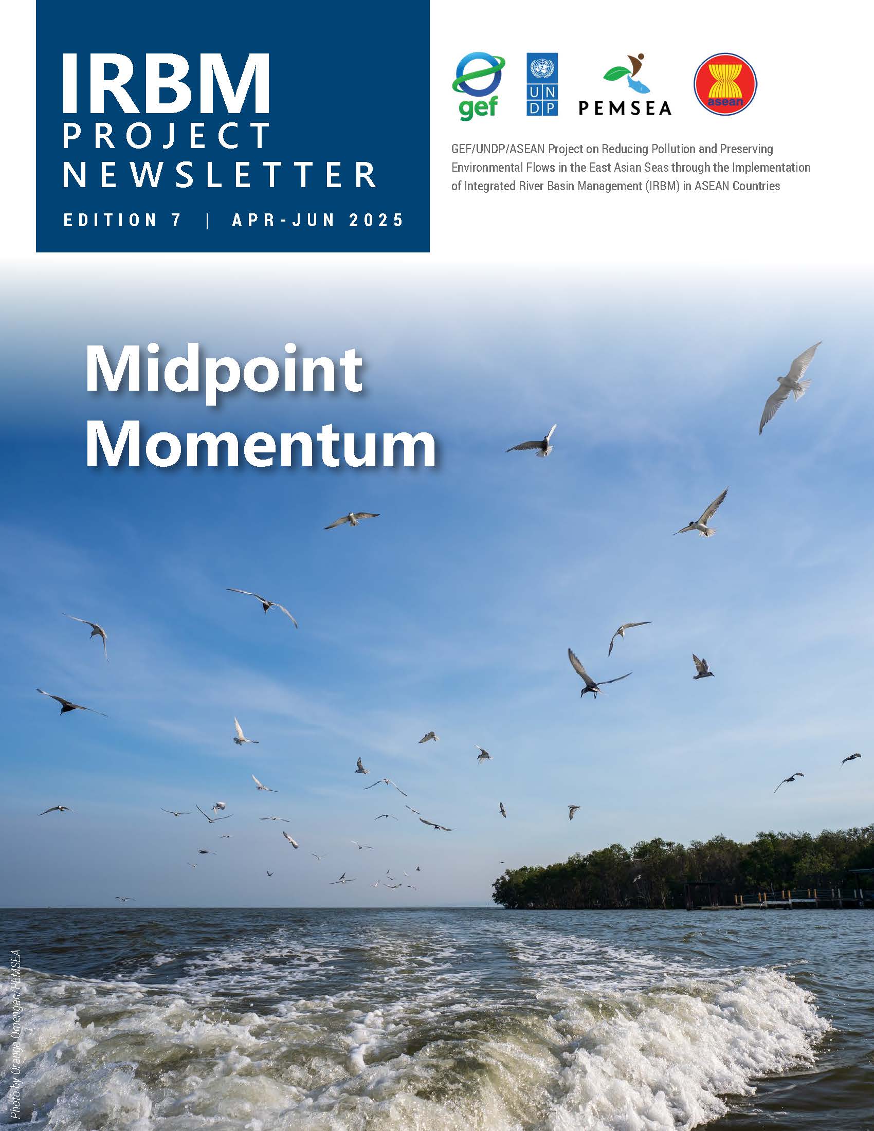 IRBM Newsletter (Volume 7)