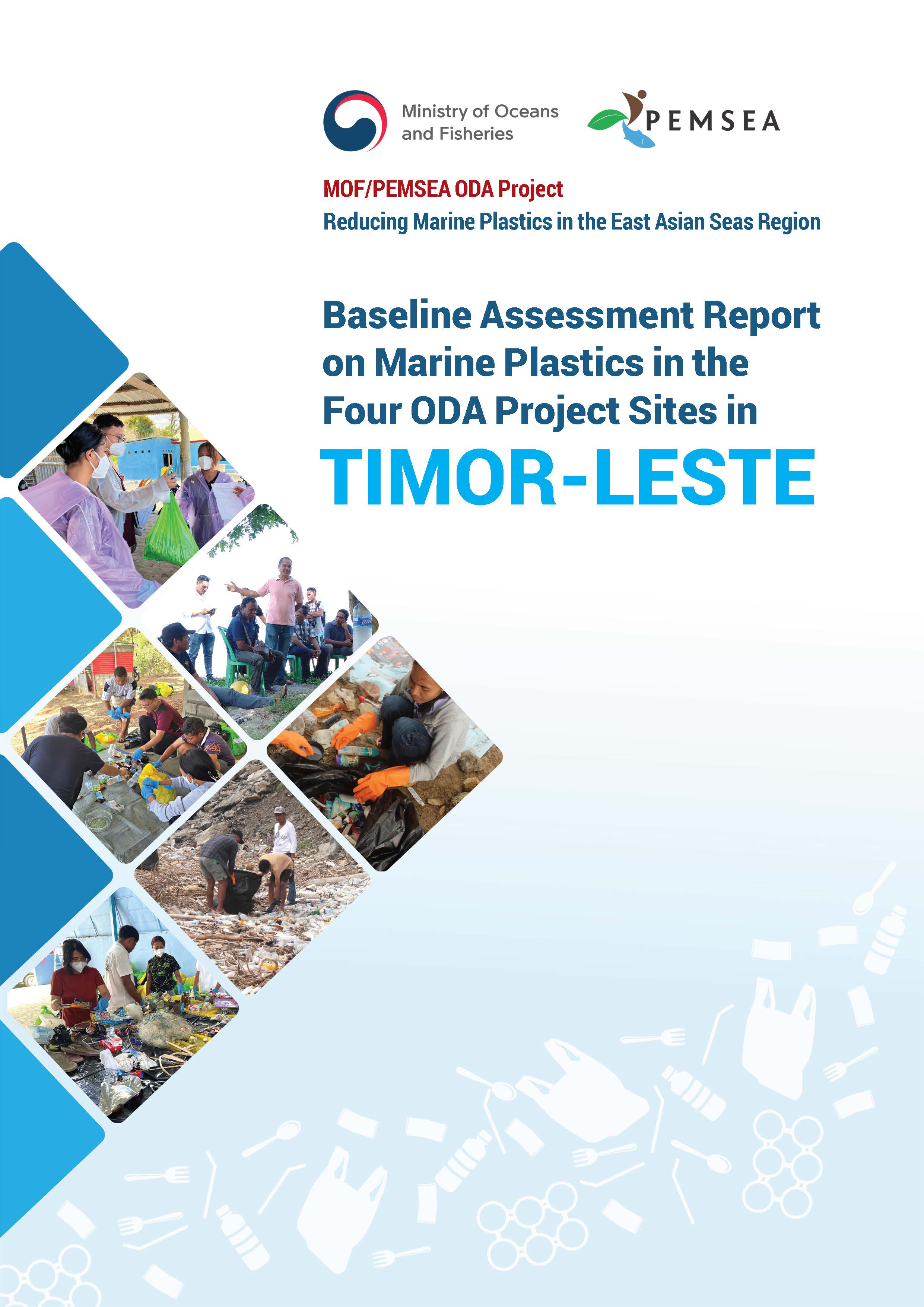 TL Natl Baseline Assessment Report 2025