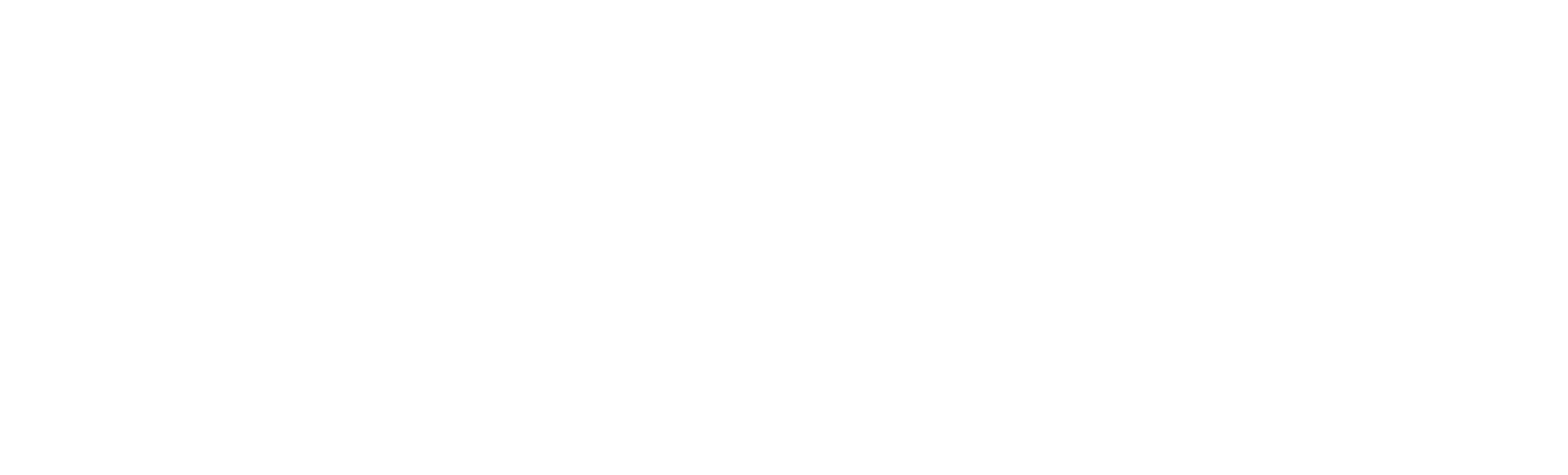PEMSEA white