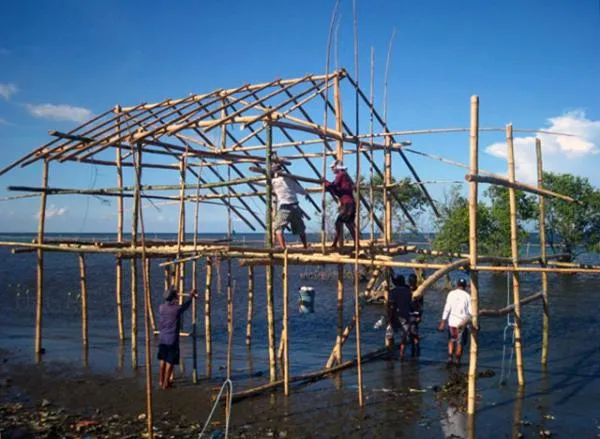 Of Prawns and Mangroves: Green-mindedness in Orion, Bataan
